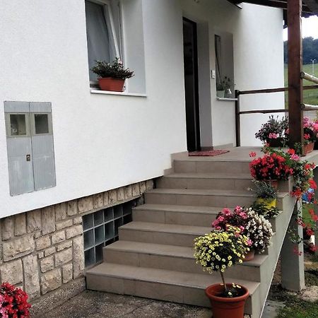 Guesthouse Bor Plitvice Lakes Plitvička Jezera Zewnętrze zdjęcie