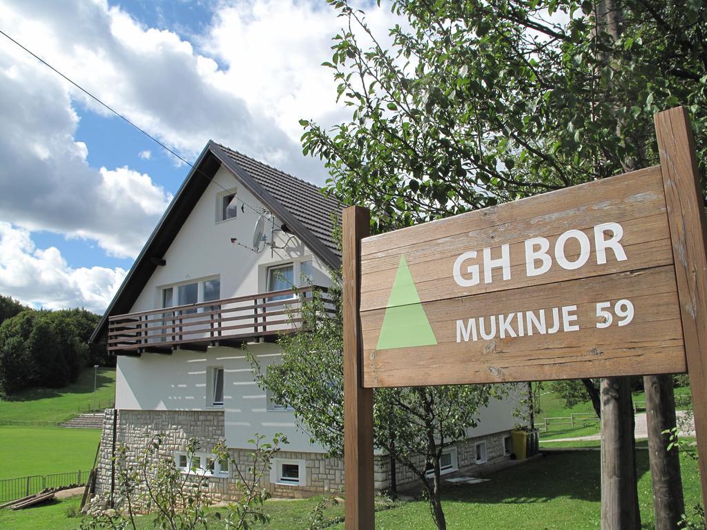 Guesthouse Bor Plitvice Lakes Plitvička Jezera Zewnętrze zdjęcie