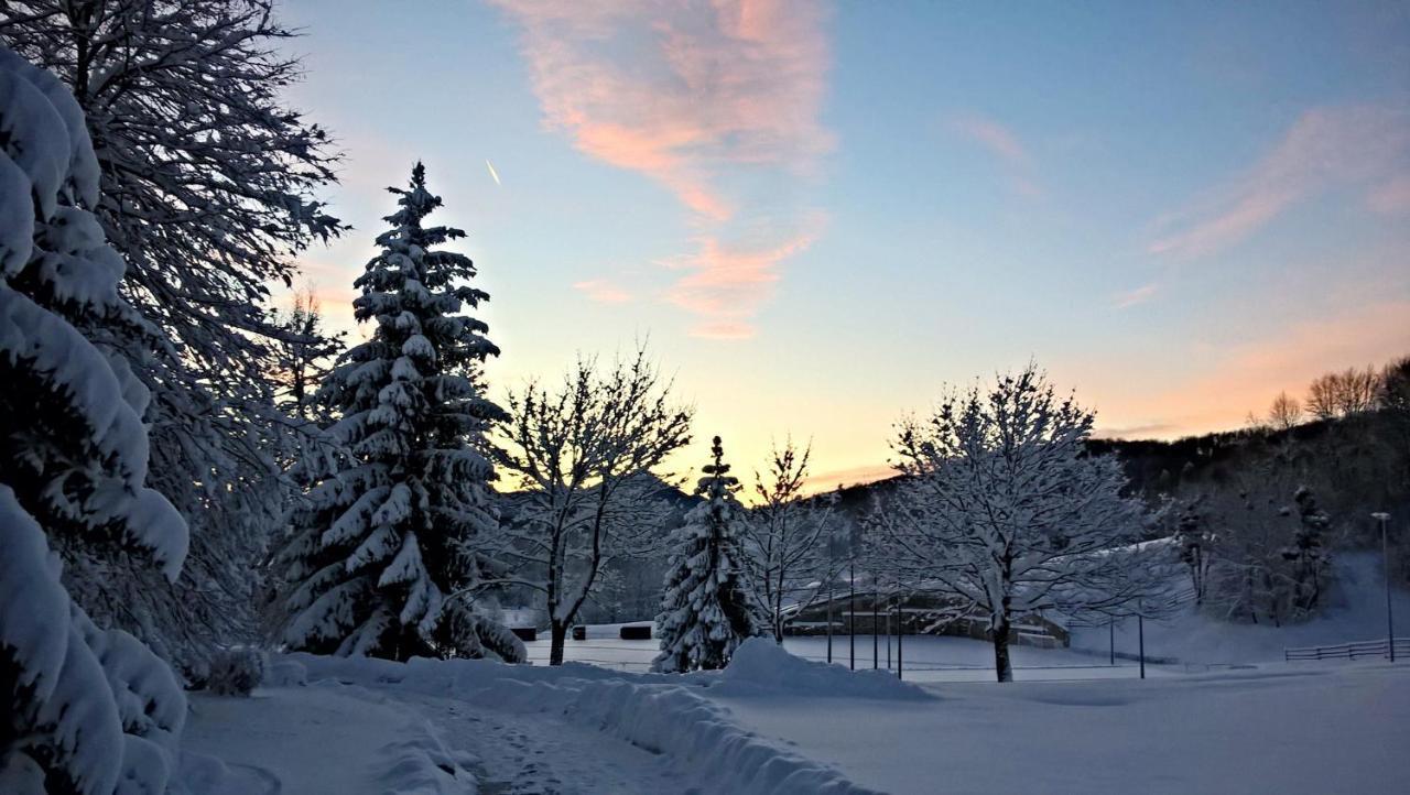 Guesthouse Bor Plitvice Lakes Plitvička Jezera Zewnętrze zdjęcie