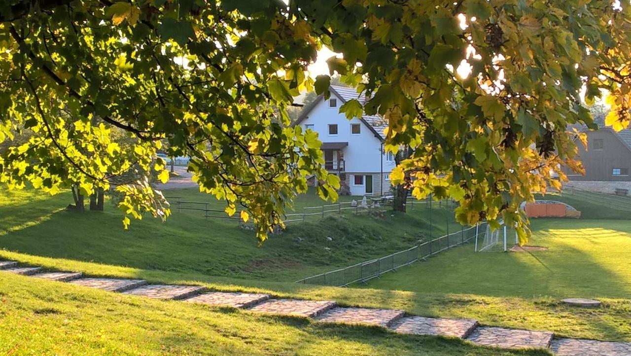 Guesthouse Bor Plitvice Lakes Plitvička Jezera Zewnętrze zdjęcie