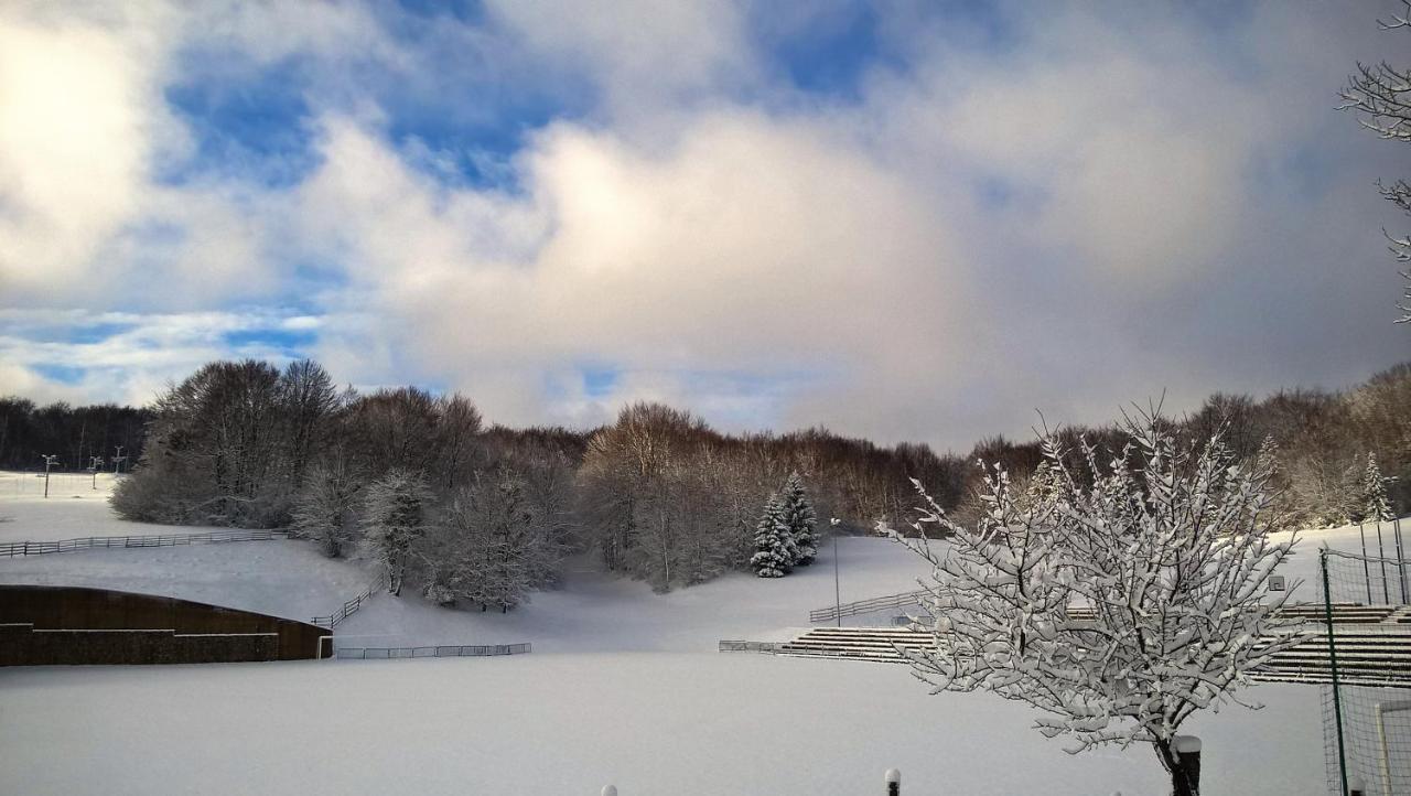 Guesthouse Bor Plitvice Lakes Plitvička Jezera Zewnętrze zdjęcie